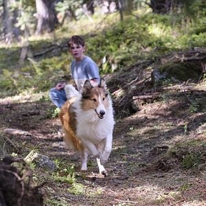 Fotoğraf Lassie: Yepyeni Bir Macera