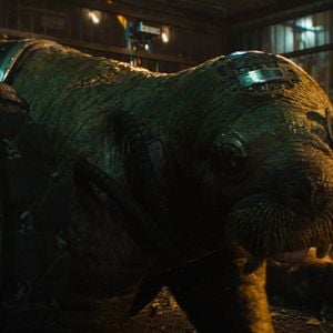 Fotoğraf Galaksinin Koruyucuları 3