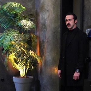 Fotoğraf Yalı Çapkını