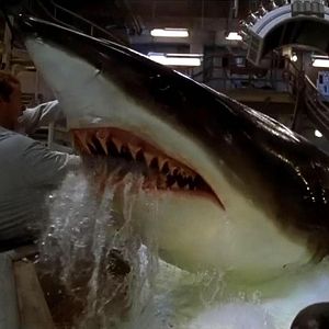 Fotoğraf Mavi Korku