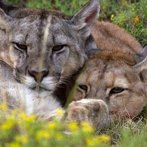 Fotoğraf Gezegenimiz