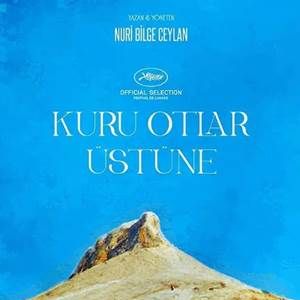Fotoğraf Kuru Otlar Üstüne