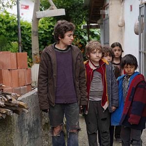 Fotoğraf Ateş Kuşları