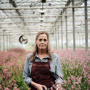 Fotoğraf The Lost Flowers Of Alice Hart