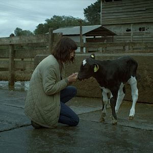 Fotoğraf La vaca que cantó una canción sobre el futuro