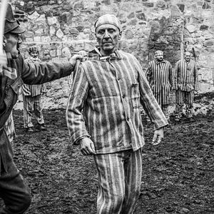 Fotoğraf The Cardinal