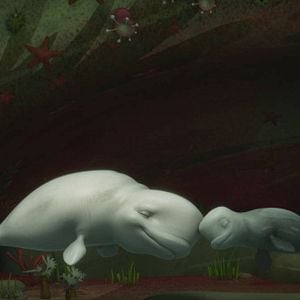 Fotoğraf Cesur Balina Katak