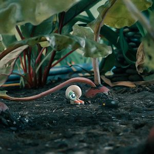 Fotoğraf Marcel The Shell With Shoes On