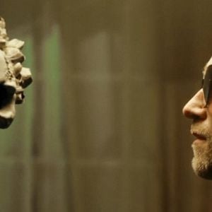 Fotoğraf Something in the Dirt