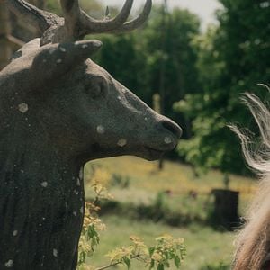 Fotoğraf La Fiancée du poète