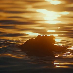 Fotoğraf Estranho Caminho