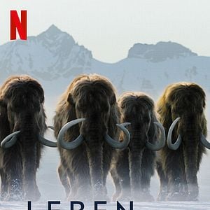 Fotoğraf Gezegenimizde Yaşam