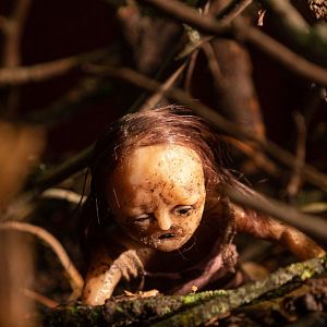 Fotoğraf Stopmotion
