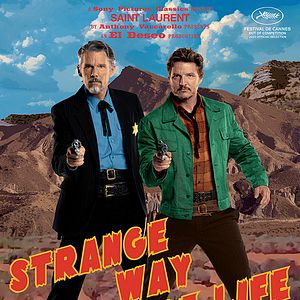 Fotoğraf Hayatın Cilvesi