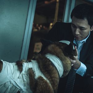 Fotoğraf Dokjeon 2