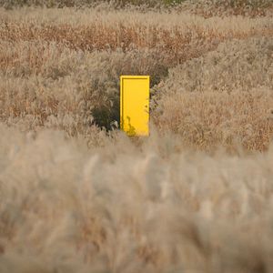 Fotoğraf Yellow Door: '90s Lo-fi Film Club