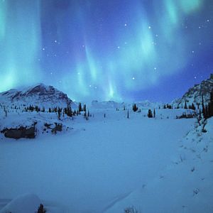 Fotoğraf Kina & Yuk : renards de la banquise