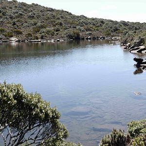 Fotoğraf The Survival Of Kindness