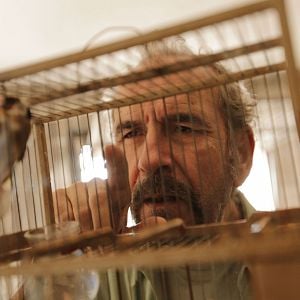 Fotoğraf Willy Toledo