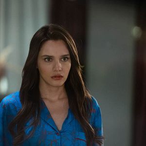 Fotoğraf Kuş Uçuşu