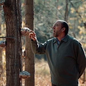 Fotoğraf Nicolas Cage