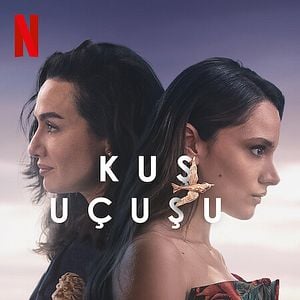 Fotoğraf Kuş Uçuşu