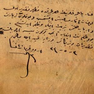 Fotoğraf Zaferin Rengi