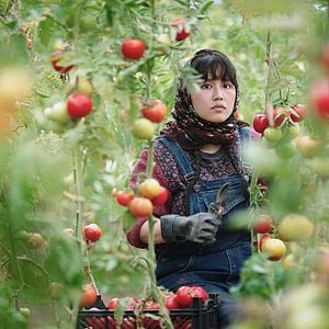 Fotoğraf In the Land Of Brothers