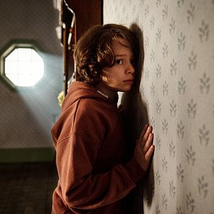 Fotoğraf Örümcek Ağı