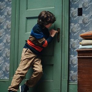 Fotoğraf Örümcek Ağı