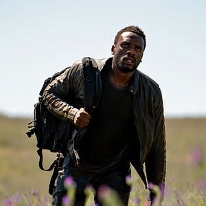 Fotoğraf Heart of the Hunter