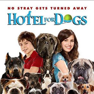 Fotoğraf Köpek Oteli