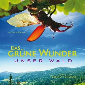 Fotoğraf Das grüne Wunder - Unser Wald