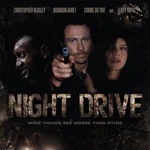 Fotoğraf Night Drive