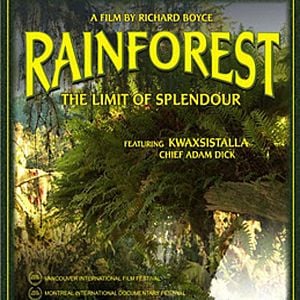 Fotoğraf Rainforest