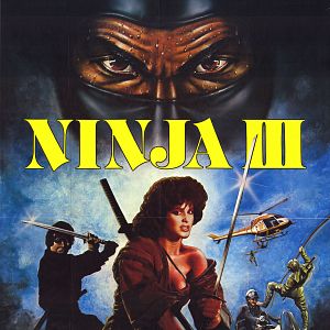 Fotoğraf Ninja III: The Domination