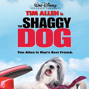 Fotoğraf The Shaggy Dog