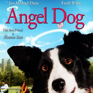 Fotoğraf Angel Dog