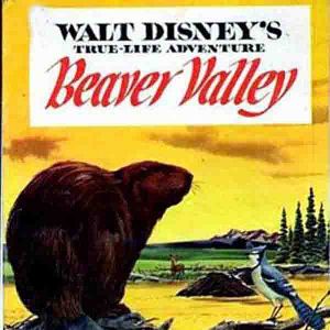 Fotoğraf Beaver Valley