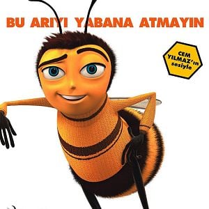 Fotoğraf Arı Filmi