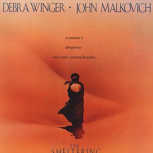 Fotoğraf Çölde Çay