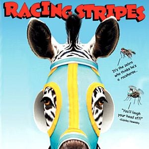 Fotoğraf Racing Stripes