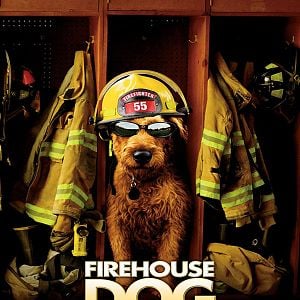 Fotoğraf Firehouse Dog