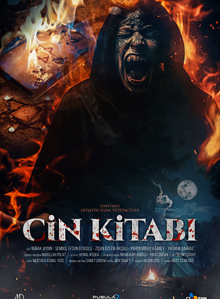 Cin Kitabı