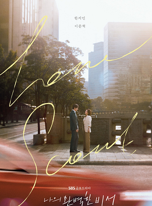 Naui Wanbyeokhan Biseo posteri