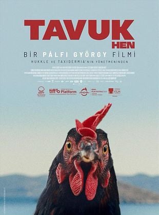 Tavuk
