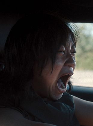 Staatsschutz posteri