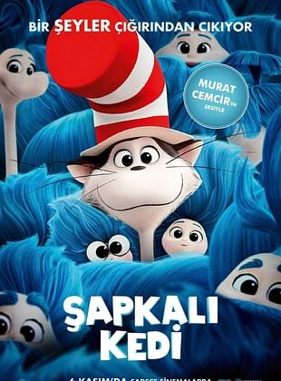 Şapkalı Kedi