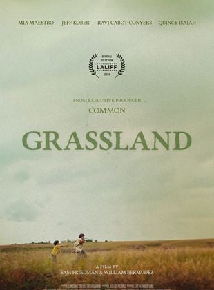  Grassland