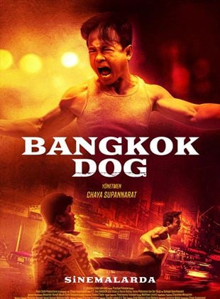 Bangkok Dog